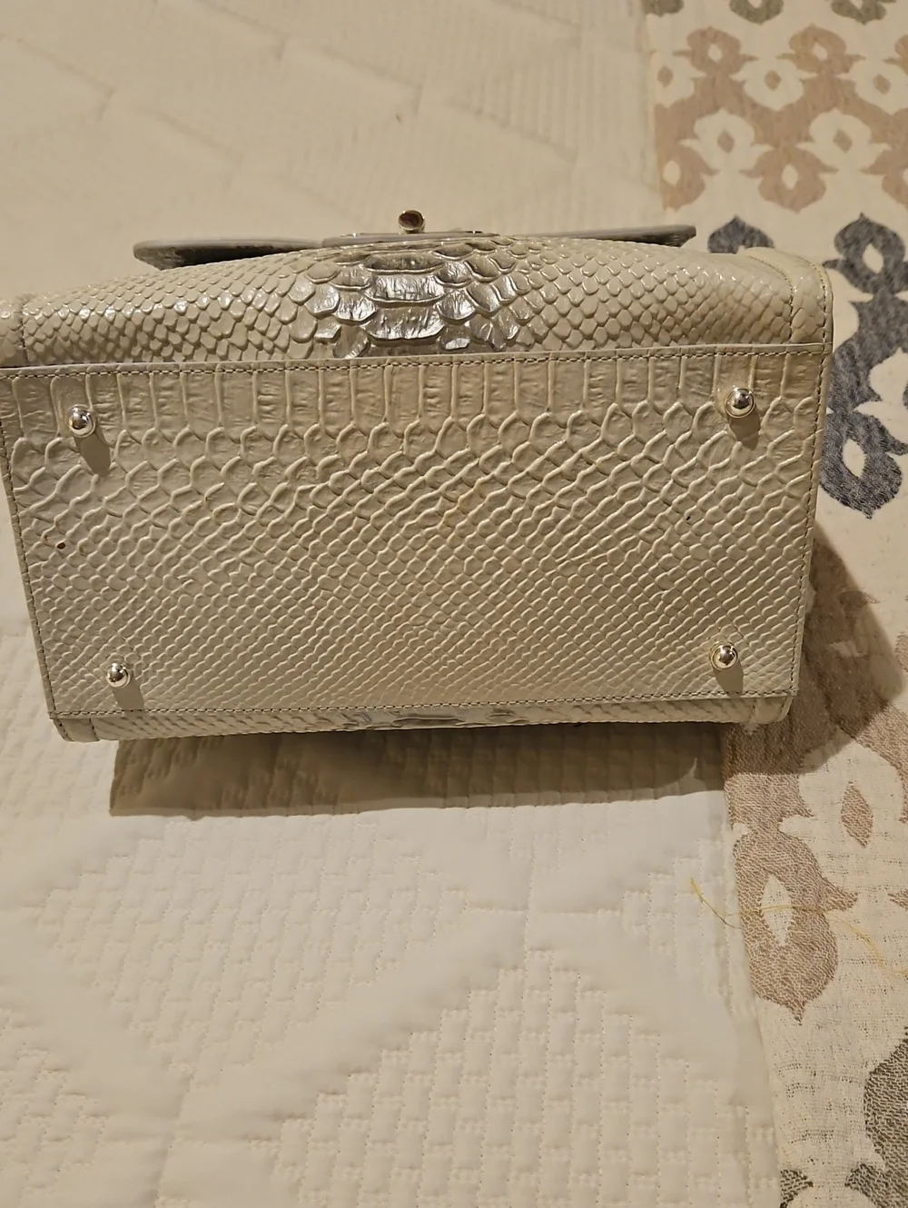 Brahmin small caroline